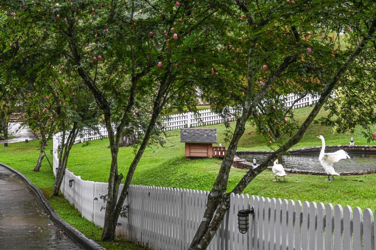 Swiss Valley Hip Resort Suan Phueng Ngoại thất bức ảnh